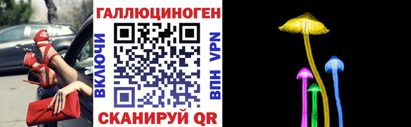 Псилоцибиновые грибы прущие грибы  Грязовец 